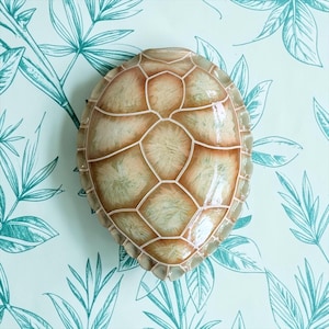Puede incluir: Una escultura de cerámica con forma de caparazón de tortuga que presenta un acabado brillante con un degradado de tonos beige, marrón y verde pálido. El caparazón está segmentado por líneas blancas en relieve que definen las escamas individuales.