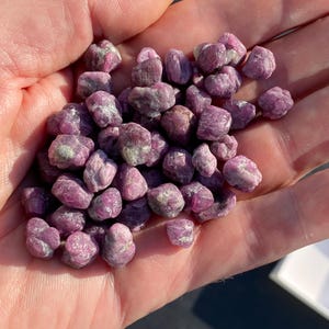 Könnte beinhalten: Eine Sammlung kleiner, roher, rosafarbener Rubinkristalle. Die Kristalle sind in verschiedenen Rosatönen gehalten und haben ein natürliches, unpoliertes Aussehen.