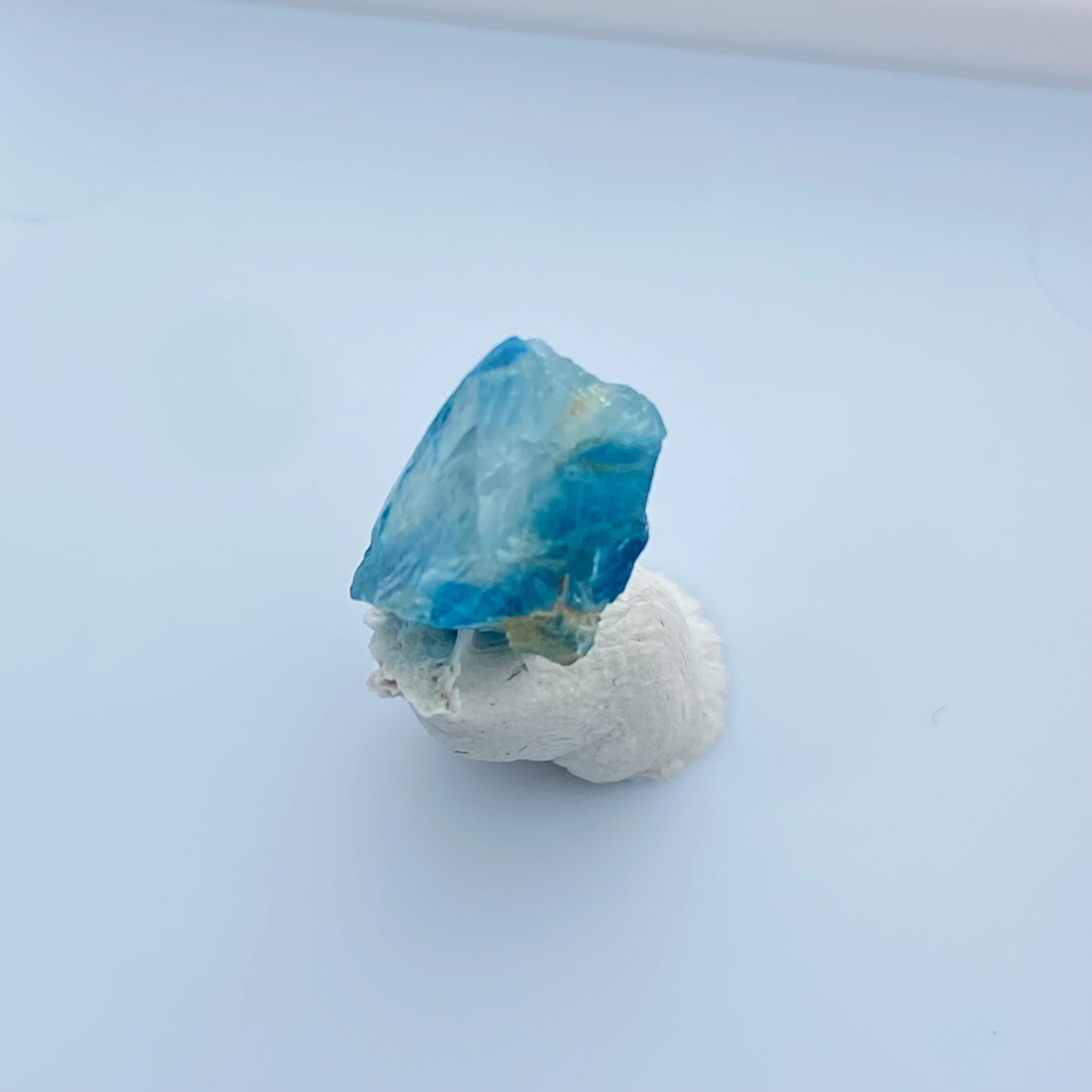 ユークレース - Etsy 日本