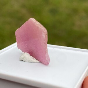 Può includere: Un esemplare di cristallo rosa con una forma angolare e appuntita. Il cristallo è montato su una base bianca.