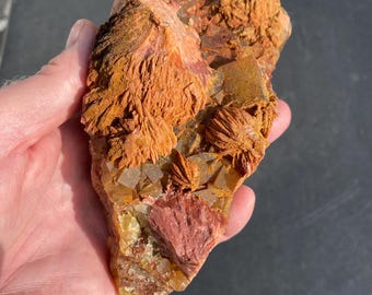 モロッコ産の重晶石マトリックス上の大型黄色蛍石標本 約995グラム