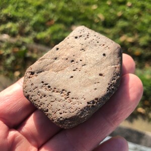 May include: A close-up of a brown, irregularly shaped rock with a rough, textured surface. The rock has a slightly reddish hue and is covered in small, dark brown spots.