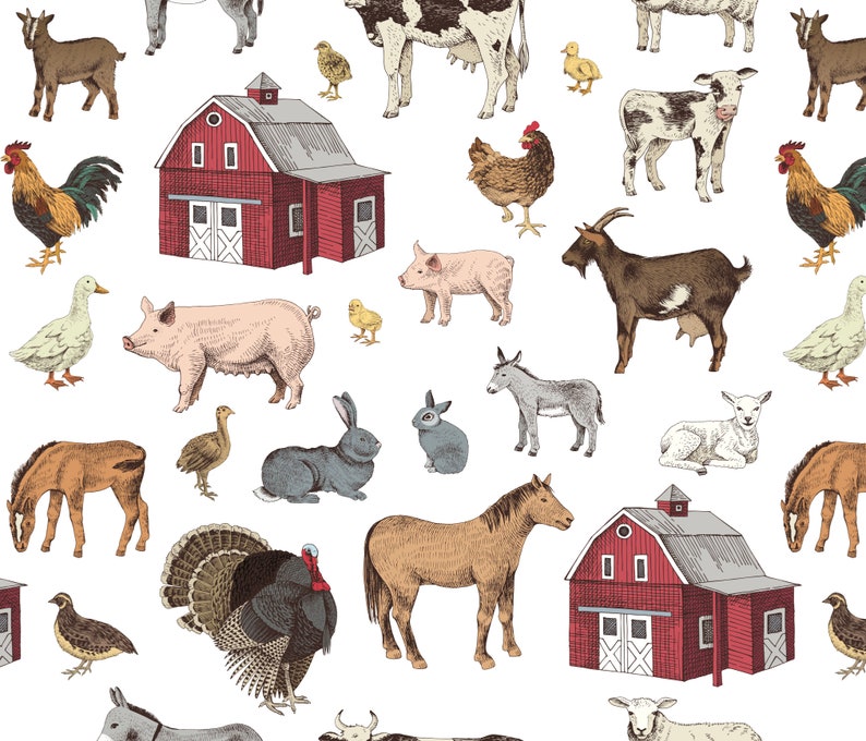 May include: A colorful illustration of a farm scene with various animals, including cows, pigs, chickens, goats, sheep, horses, rabbits, and a turkey. There are also two red barns with white doors and windows.