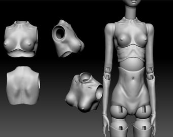May include: A set of five 3D printed doll body parts, including a torso, two arms, and two breasts. The parts are made of a smooth, white plastic and are designed to be assembled together to create a complete doll body.