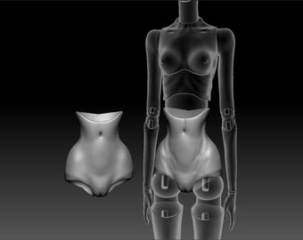 May include: A 3D printed doll body with a torso, hips, and legs. The doll body is made of a smooth, white plastic.