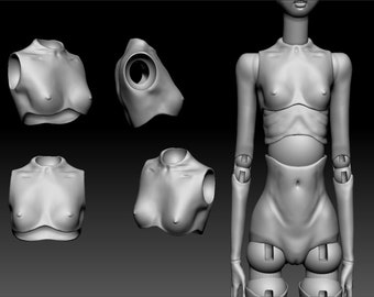May include: A 3D model of a female doll torso, showing different views of the chest and torso area. The model is in a neutral pose with arms extended to the sides.