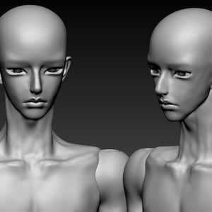 Può includere: Due modelli 3D renderizzati di teste e spalle umane. I modelli sono calvi e hanno caratteristiche realistiche, inclusi occhi, naso e bocca. I modelli sono rivolti in direzioni diverse.