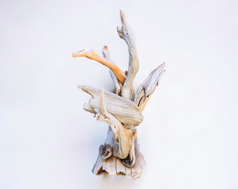 May include: A natural driftwood sculpture with a light color palette. The arrangement features various pieces of weathered wood, with shades of gray, beige, and a touch of orange. The sculpture is composed of multiple branches and pieces of wood, creating a unique, organic form.