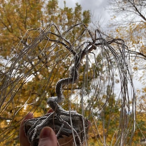 Willow Tree Sculpture