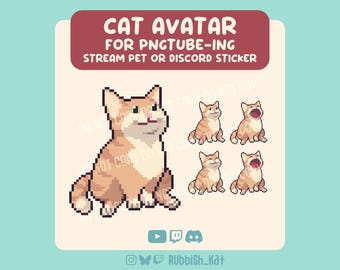 Ginger / Orange PNGtube Avatar for Streaming, Twitch, Discord & Youtube | Cute Pixel Art, POPCAT inspired