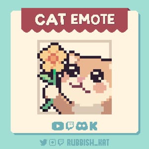 Pode incluir: Um emoji de arte pixelada de um gato segurando uma flor amarela. O gato é marrom claro com um rosto branco e bochechas rosadas. O emoji é emoldurado por uma borda branca com uma faixa vermelha no topo que diz "CAT EMOTE".
