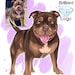 see more listings in the Cartoon Logo Portrait section