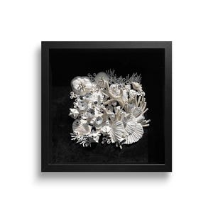 Elevate your wall decor with this coral reef textured modern clay wall art  piece &quot;Siren&quot;. Relief Artwork, Unique Home Decor in deep frame.