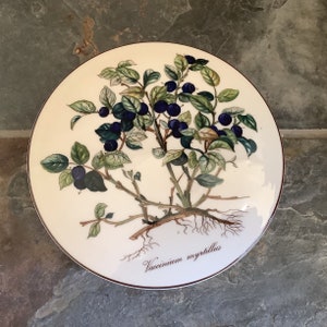 Portagioie vintage in porcellana Villeroy & Boch Botanica