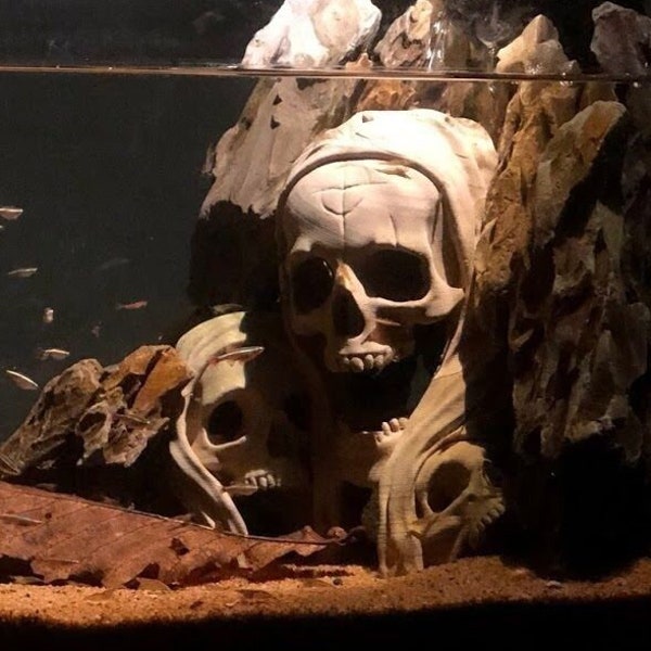 Aquarium Skull Cave, Three skulls for fish tank, Halloween Decoration, Aquarium Tested