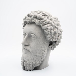 May include: A gray bust of a man with a beard and curly hair. The sculpture is a side profile, showcasing the man's facial features and the texture of his hair and beard. The bust is set against a white background.