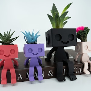 Shelf Sitter Robot Planter, Robbie el Robot Planter, Maceta Suculenta