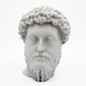 May include: A gray bust of a man with curly hair and a beard. The sculpture has a detailed face with a prominent nose and a serious expression. The bust is set against a white background.