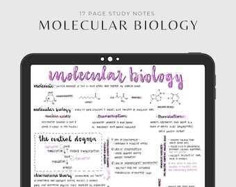 Può includere: Appunti scritti a mano sullo schermo di un tablet digitale sulla biologia molecolare, tra cui il dogma centrale della biologia molecolare, la trascrizione, la traduzione e la teoria cromosomica. Gli appunti sono in inchiostro viola e nero su sfondo bianco.