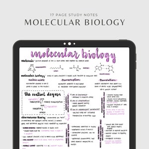Molekularbiologie Studiennotizen