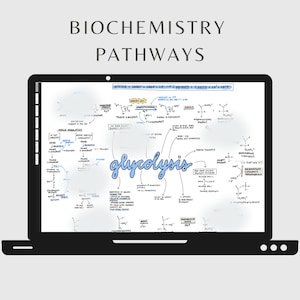 Biochemistry Pathways Study Guide