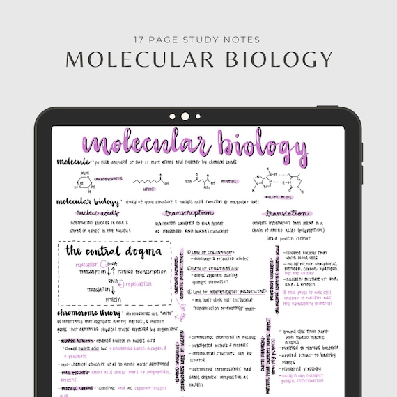 Molecular Biology Study Notes Etsy