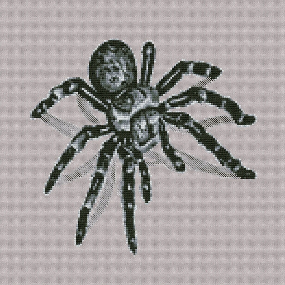 3d Spider Cross Stitch Pattern DMC Chart Two Color Variations ...