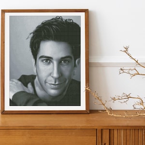 David Schwimmer Cross Stitch Pattern DMC Chart Two Color Variations Needlepoint Embroidery Chart Printable PDF Instant Download