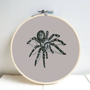 3d Spider Cross Stitch Pattern DMC Chart Two Color Variations Needlepoint Embroidery Chart Printable PDF Instant Download