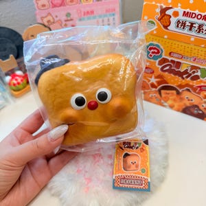 May include: A squishy toy shaped like a slice of golden-brown toast with a small black hat, two large white eyes with black pupils, and a red nose. The toy is enclosed in a clear plastic bag and features a small rectangular tag with product imagery.