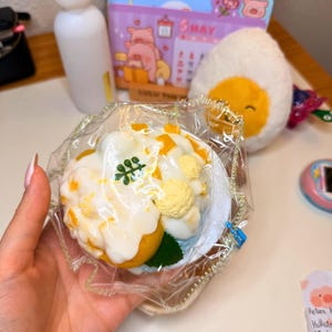 Realistic Food Taba Squishy | Mango Sticky Rice Taba | Kawaii Food Taba Suishy | Silicone Tabas | Handmade kids Toy