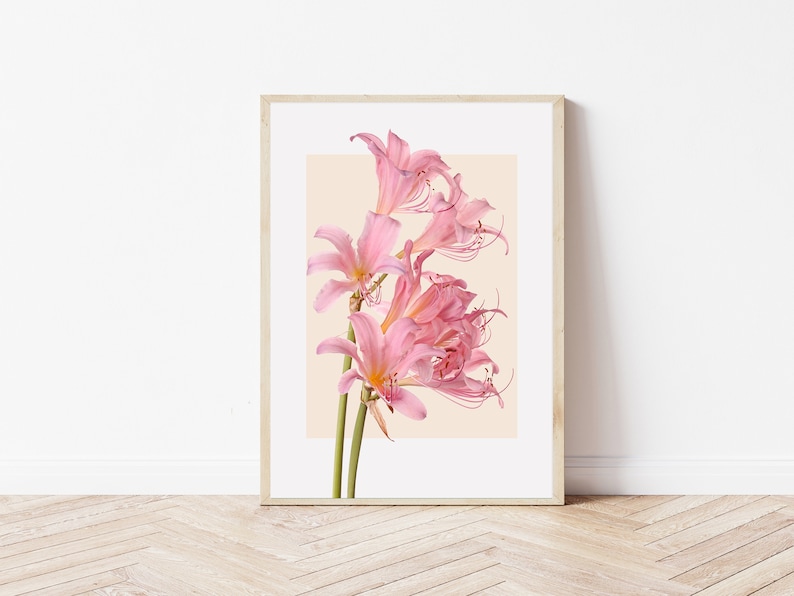 Pastel Aesthetic Art Botanical Prints Set of 3printable Wall - Etsy