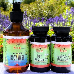 Op de afbeelding: Drie flessen met kruidensupplementen met het label "God's Way Herbs". De flessen zijn van bruin glas met zwarte doppen. De etiketten zijn groen en wit met de productnamen "Ex Factor Body Wash", "Natural Ex-Factor" en "Natural Immunity Factor".