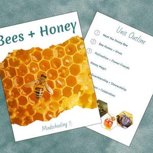 Estudio de la naturaleza sobre abejas y miel para la educación en casa / Currículo de 5 semanas (PDF imprimible)