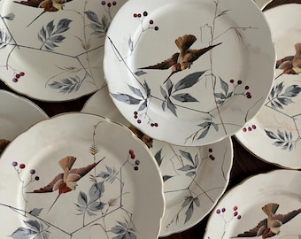 Nove raffinati piatti in terracotta con decorazione a colibrì dipinta a mano, XIX secolo, Nimy Mouzin Lecat, Belgio