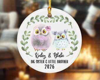 Big Sister Little Brother Ornament, Personalized Siblings, Christmas Ornament, Gift For Siblings, Custom Owl Gift, Sibling Ornament