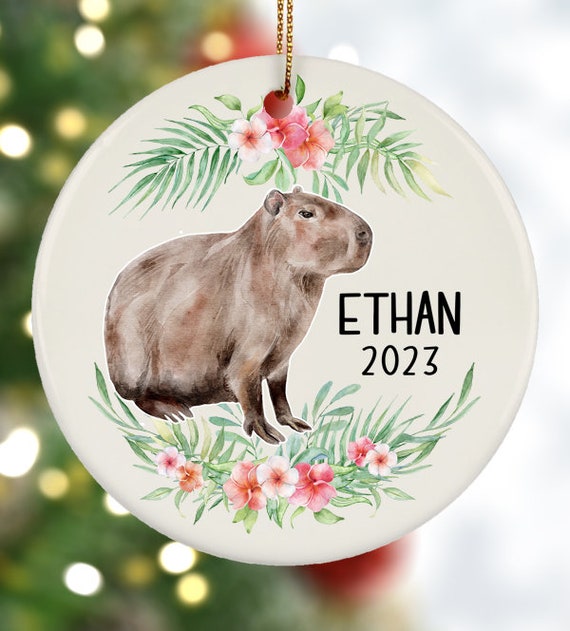 Capybara Ornament, Personalized Ornament for Kids, Christmas