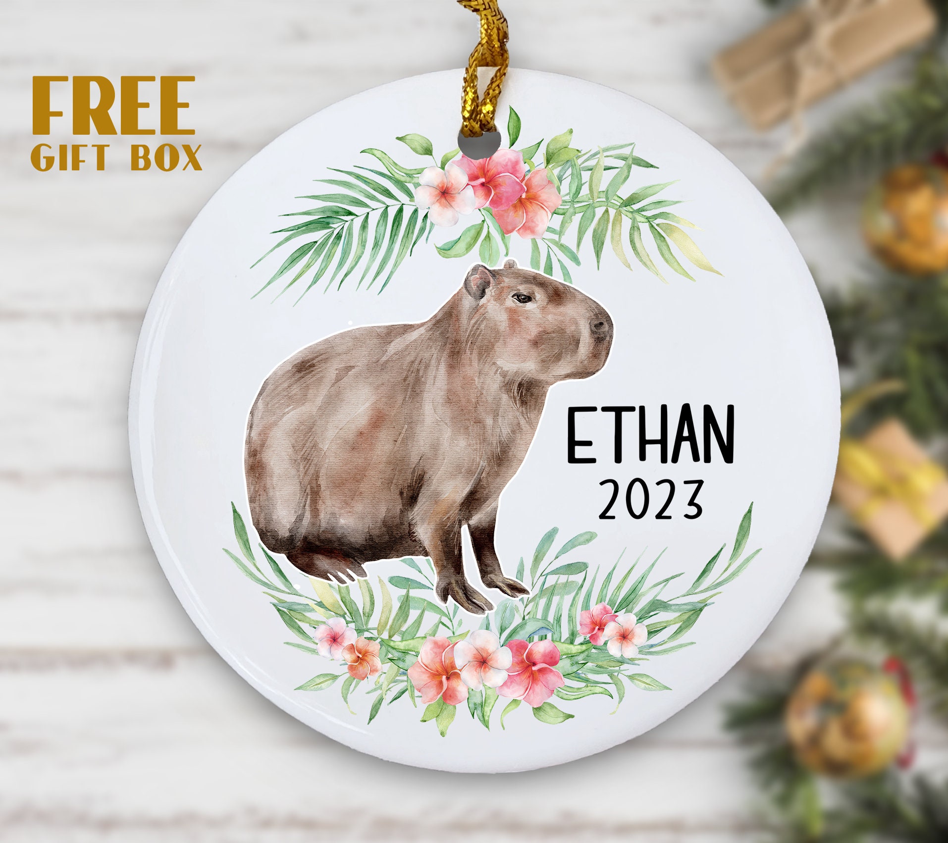 Capybara Ornament, Personalized Ornament for Kids, Christmas