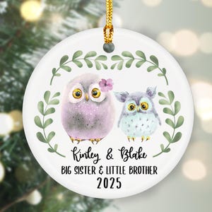 Big Sister Little Brother Ornament, Personalized Siblings, Christmas Ornament, Gift For Siblings, Custom Owl Gift, Sibling Ornament
