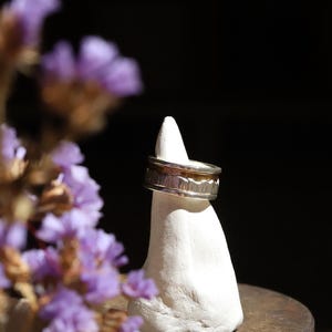 Peut inclure: Une bague en métal argenté présentant une bande centrale avec un motif texturé en forme de silhouette de montagne. La bague possède une finition lisse et polie sur les bords supérieurs et inférieurs, créant un aspect superposé doré.