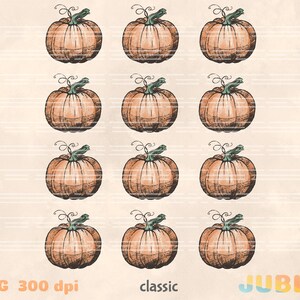 Puede incluir: Doce ilustraciones dibujadas a mano de calabazas naranjas con tallos verdes sobre un fondo beige con l&iacute;neas horizontales.