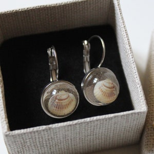May include: A pair of silver earrings with a small seashell encased in a clear glass dome. The earrings are in a small, white gift box with a white ribbon.