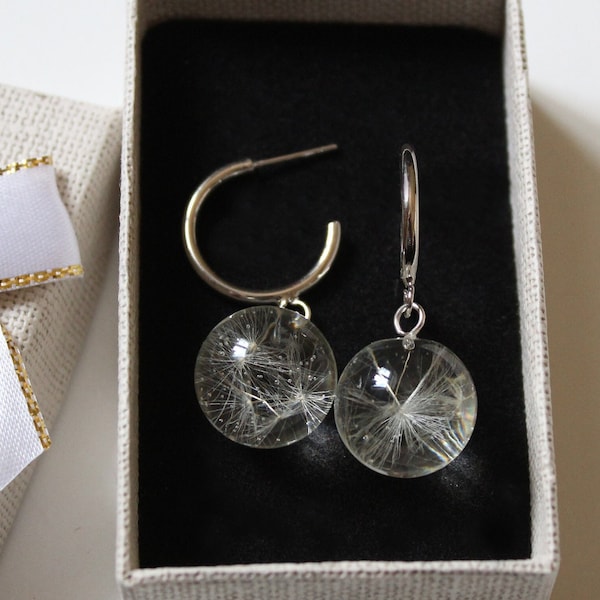 Ball earrings with dandelions. Sphere resin earrings. Stainless steel round hook drop earrings with real dandelions.