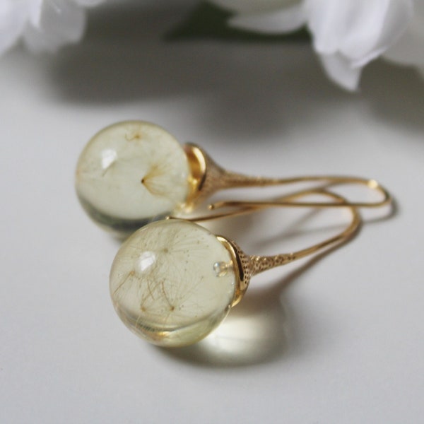 Dandelion gold earrings. Dandelions in champagne earrings. Long hook gold earrings. Dandelion resin globes. Sphere earrings with dandelions.