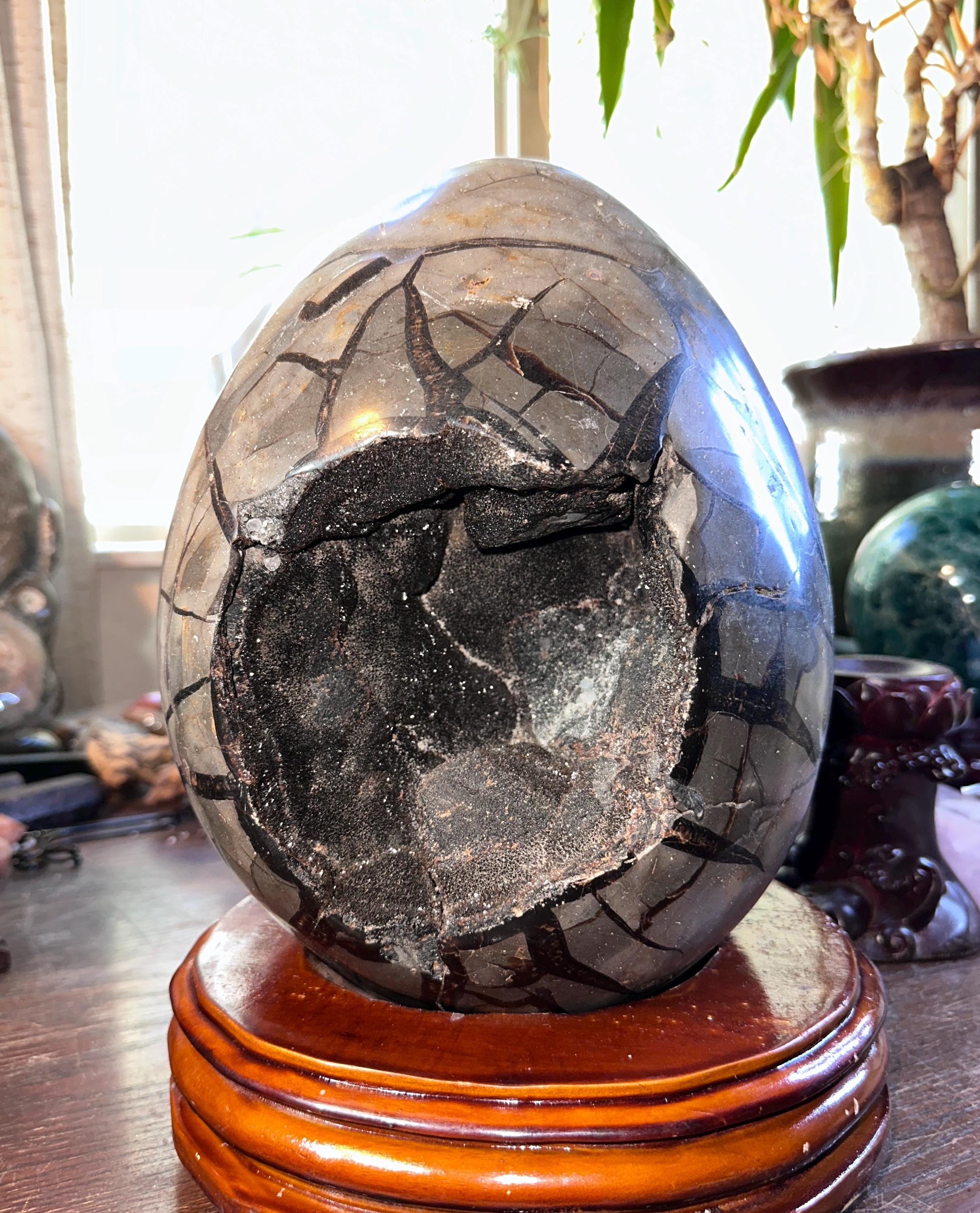 Septarian Egg Stand - Etsy