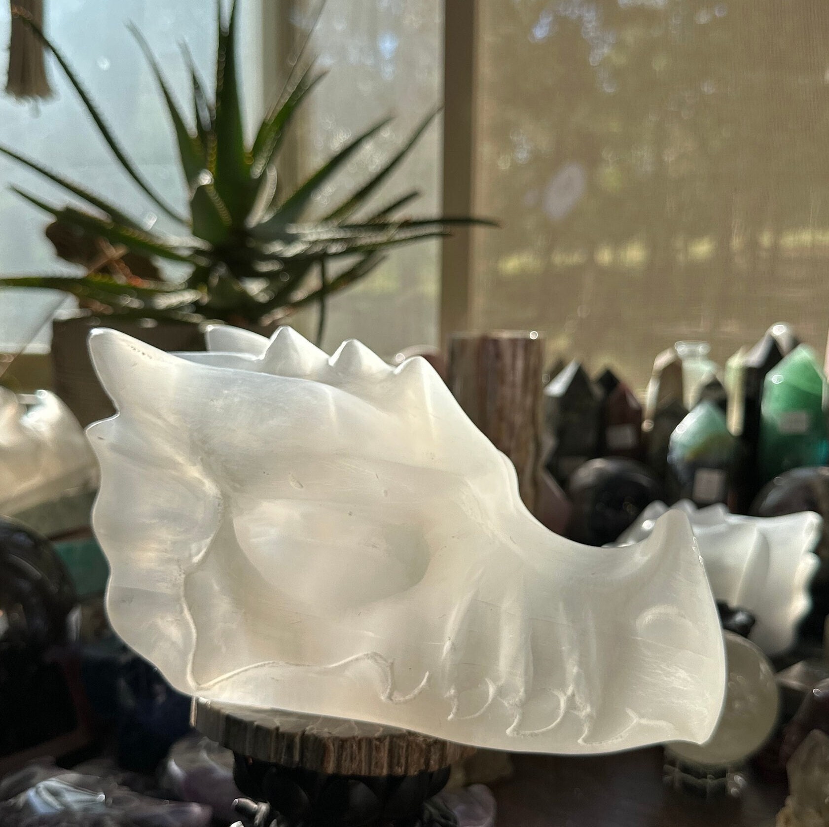 Hand Carved Selenite Crystal Dragons Head! 6.4 lbs!