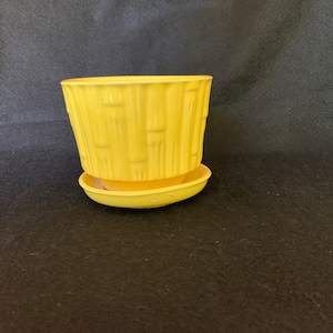 May include: A yellow ceramic planter with a bamboo design. The planter has a matching saucer.