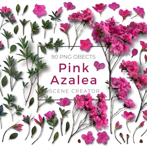 Pink Azalea PNG Scene Creator Pink Flowers Scene Creator PNG Azalea PNG Flowers Scene Builder Floral Scene Creator Botanical Scene Creator