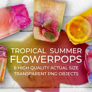 Tropical Summer Flowers Scene Creator Botanical Scene Creator Summer Scene Creator Scene Builder Props Canva Flower Clipart