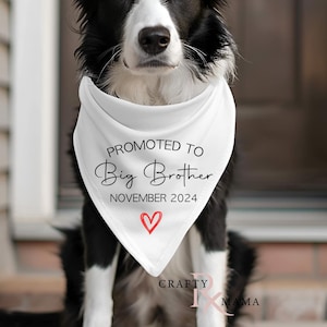 Promoted to Big brother dog bandana | Pregnancy announcement dog bandana | Personalized dog bandana | Baby shower gift